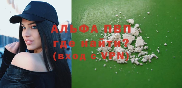 прущие грибы Белокуриха