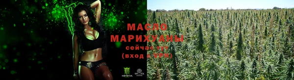 прущие грибы Белокуриха